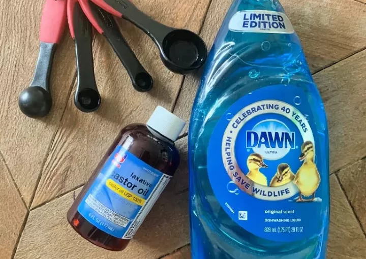 Effective Flea Control: Is Dawn Soap Suitable?