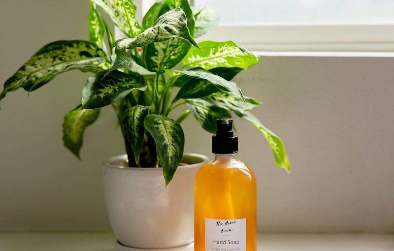 non-toxic hand soap